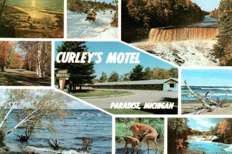 Curleys Paradise Motel - Old Postcard